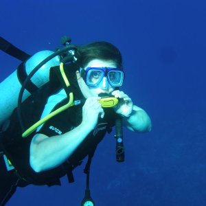 IMG 0117
