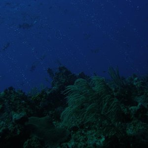 IMG 0120