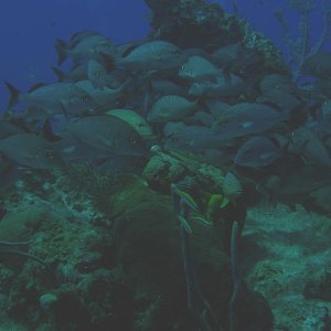 IMG 0121