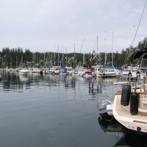 All of "H" dock full of C-Brats