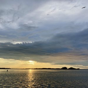 IMG 4507