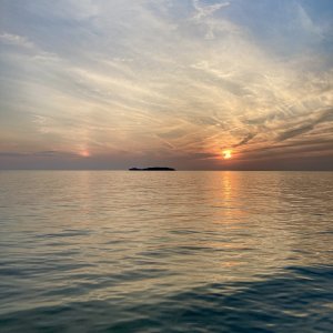 IMG 4993