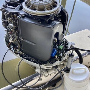 IMG 7732