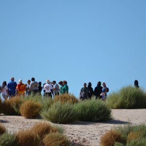 Fireball Run is a national several city scavenger hunt/fundraiser.  See the apes??  Some of the movie "Planet of the Apes" was filmed here.