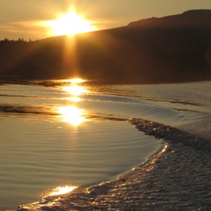 Media '1-10-2012 from Canon 161' in album 'Board walk to Dock at Sequim Bay State Park'