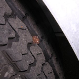 Why you should carry a spare tire for the trailer.