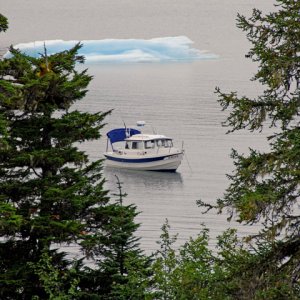 Coho at anchor at Growler Island.