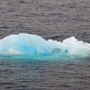 Columbia Glacier growler.