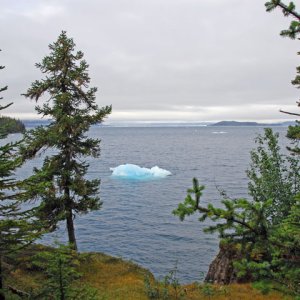 Looking towards Columbia Glacier from Growler Island.