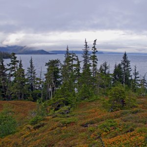 Late September colors on Growler Island.  Winter is around the corner.