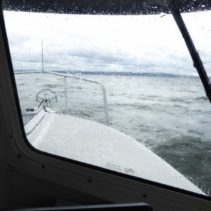 Just South of Langley, lots of Gray whales but almost impossible to photograph due to the waves