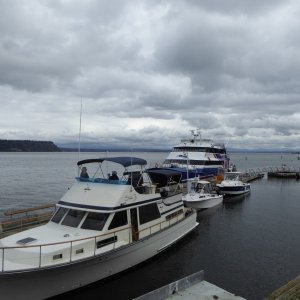 Several boats at the visitor dock, including the Clipper