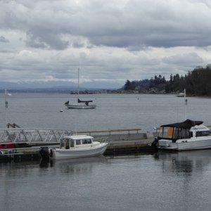 Looking South from the Langley pier