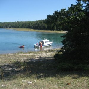 Harbor Island