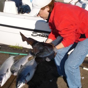ling cod and salmon