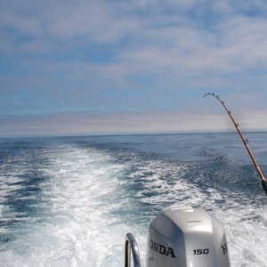 Great conditions to troll at 8kts