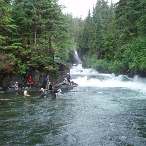 Cast net or dip netting is all thats permitted