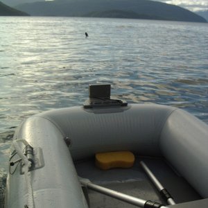 Media 'New dinghy - Achilles donut, with motor mount' in album 'at Ocean Falls marina'