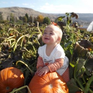 Harper Loves Those Pumpkins