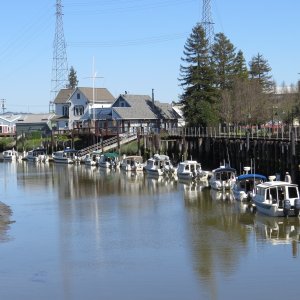Petaluma Turning Basin - 2015