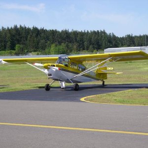 On the ground at Friday Harbor