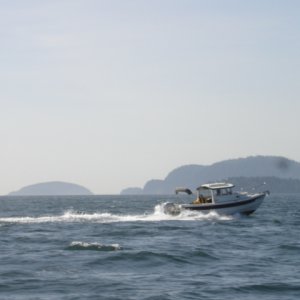THE PRETENDER B'Ham Bay
On the way to Friday Harbor
