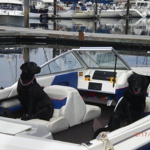 port security
