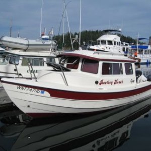 29