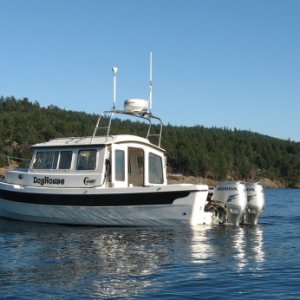 Media 'West side of San Juan Island - waiting for the Orca...' in album 'Port of Kalama Marina, Christmas Eve, 2005'