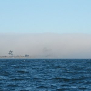 Fog bank off Point Wilson, WA.