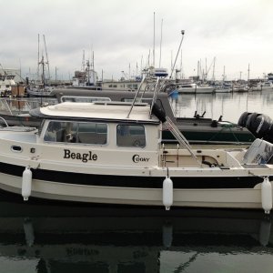The Beagle at her berth in Westport