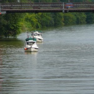 P1180245