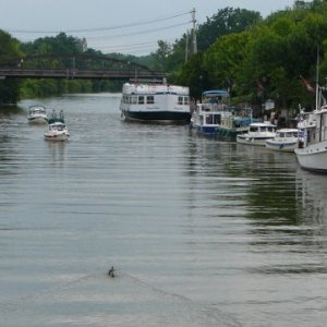 P1180248