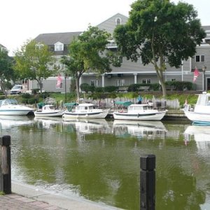 P1180251