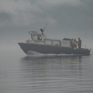 DFO in the fog