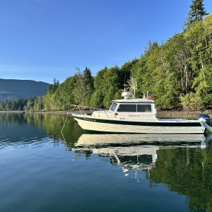 Media 'South Sequim Bay glamor shot' in album 'South Sequim Bay glamor shot'