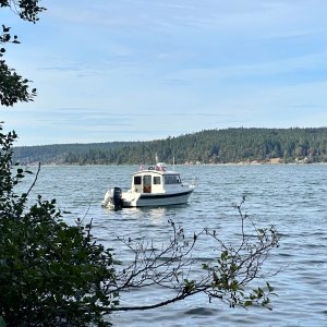 Media 'South Sequim Bay looking NE' in album 'South Sequim Bay glamor shot'