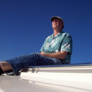 obviously pondering big questions   or is that seagull gonna poop?