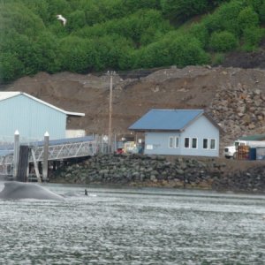 In front of Hoonah fuel dock