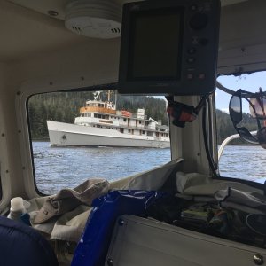 Meeting mini cruiser in Whitestone Narrows on run from Sitka to Piehle Passage & the Gulf of Alaska waters.