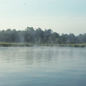 Mist on the West Neck Creek-2