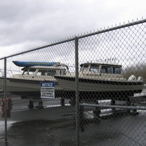 Media 'CDory next to Cape Cruiser' in album 'CDory next to Cape Cruiser'