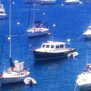 Media 'Islander on Mooring Ball' in album 'A Midweek Spontaneous BBQ'