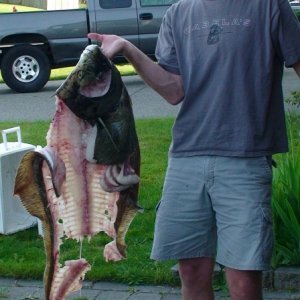 Neah Bay Hali