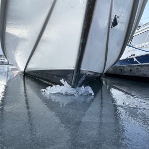 Media 'Frozen in place' in album 'Frozen in place'