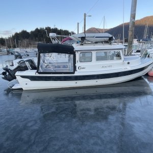 Sealing Cove Frozen