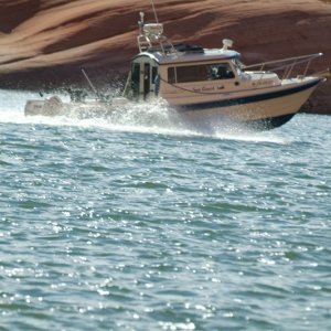 Media 'LAKEPOWELL-2008 036.jpg' in album 'LAKEPOWELL-2008 003.jpg'