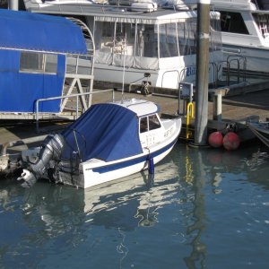 IMG 0660