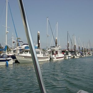 Lined Up