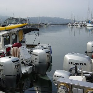 Honda convention, Can you spot all eight?
